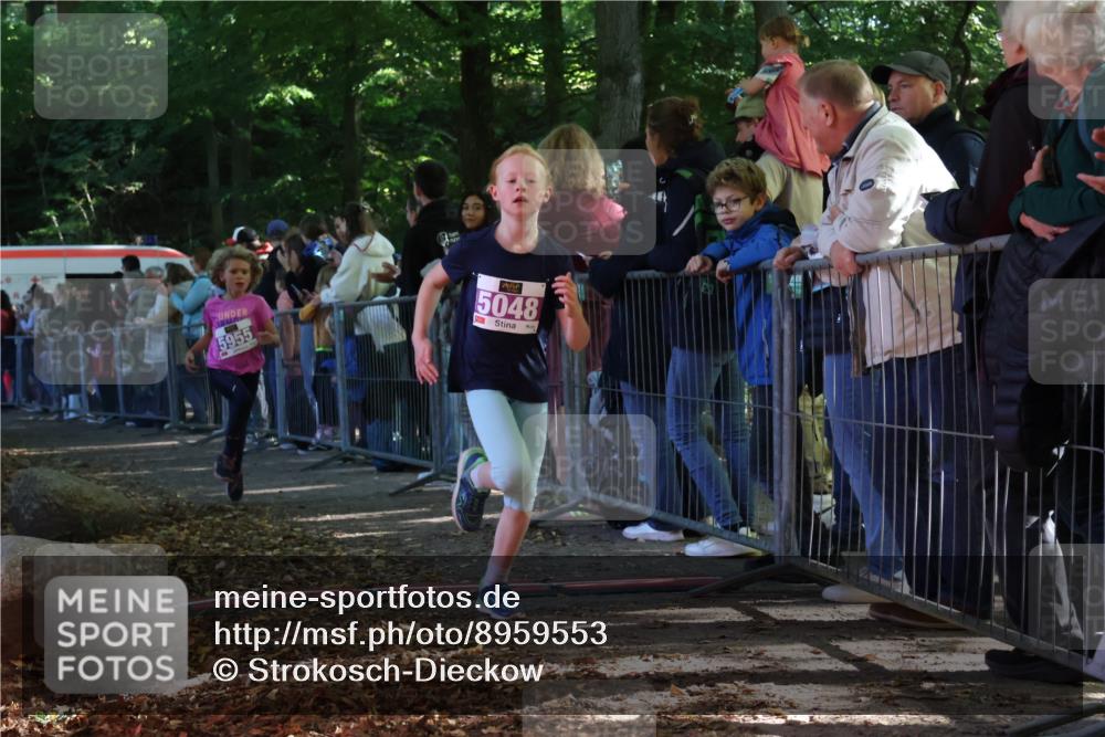28.09.2025 - 33. Volkslauf durch das schöne Alstertal Strokosch-Dieckow http://msf.ph/oto/8959553 28.09.2025 10:46:11 Ziel 5048, 5955, 5962 meine-sportfotos.de