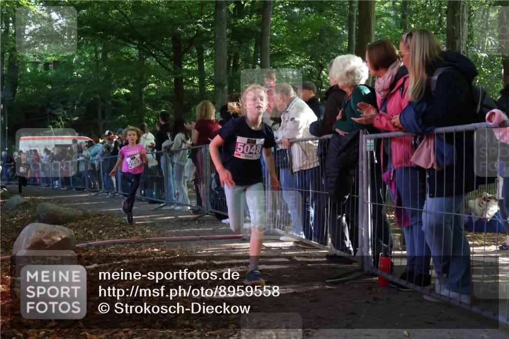 28.09.2025 - 33. Volkslauf durch das schöne Alstertal Strokosch-Dieckow http://msf.ph/oto/8959558 28.09.2025 10:46:12 Ziel 5048, 5955, 5962 meine-sportfotos.de