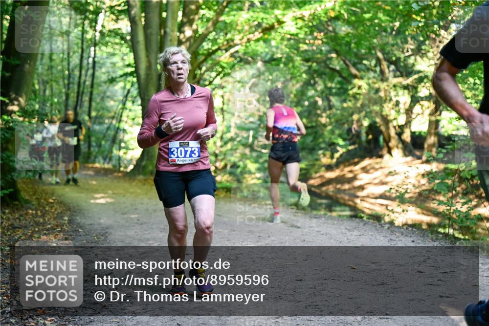 28.09.2025 - 33. Volkslauf durch das schöne Alstertal Dr. Thomas Lammeyer http://msf.ph/oto/8959596 28.09.2025 10:54:50 Laufen 3073 meine-sportfotos.de