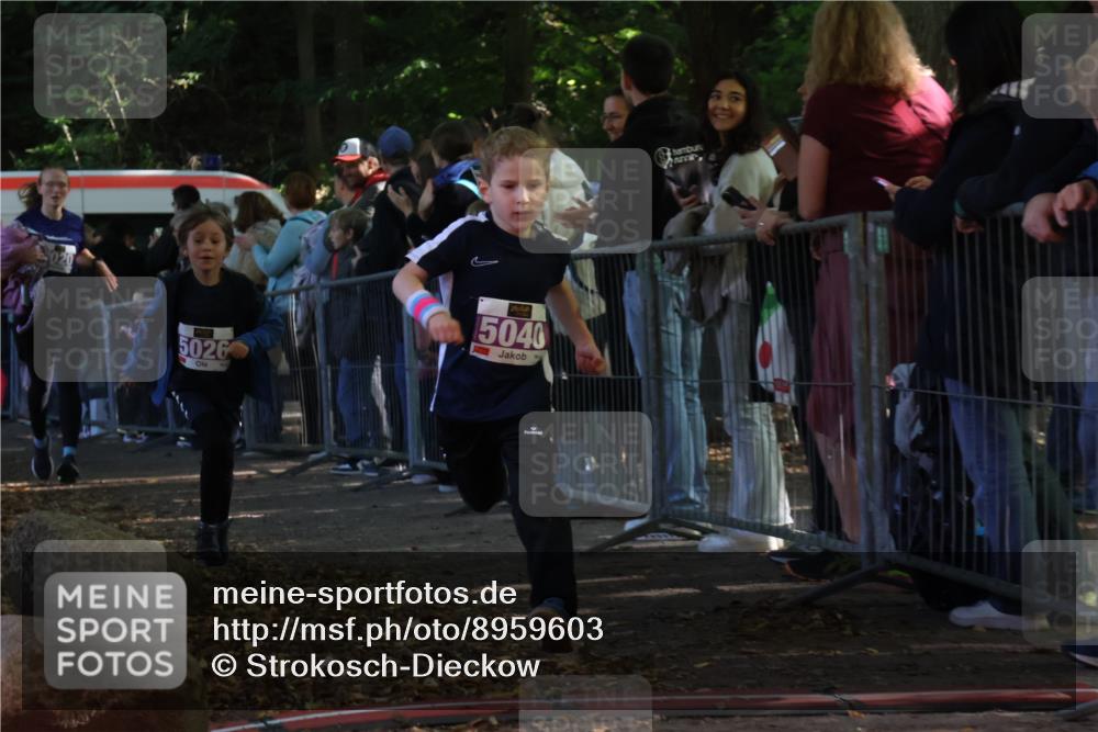 28.09.2025 - 33. Volkslauf durch das schöne Alstertal Strokosch-Dieckow http://msf.ph/oto/8959603 28.09.2025 10:46:25 Ziel 5020, 5026, 5040 meine-sportfotos.de