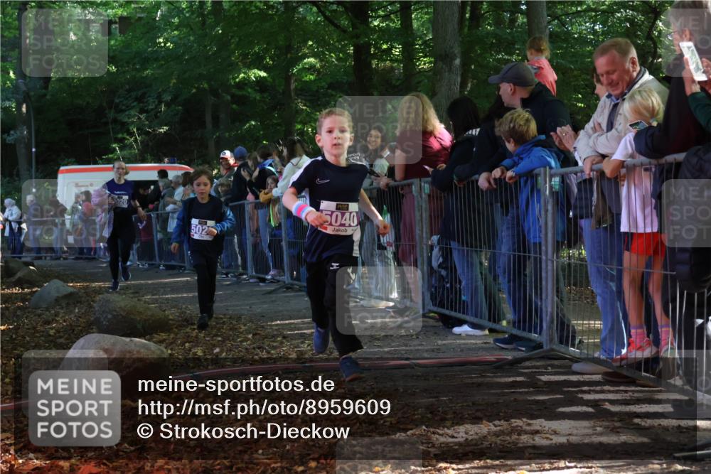 28.09.2025 - 33. Volkslauf durch das schöne Alstertal Strokosch-Dieckow http://msf.ph/oto/8959609 28.09.2025 10:46:26 Ziel 5020, 5026, 5040 meine-sportfotos.de