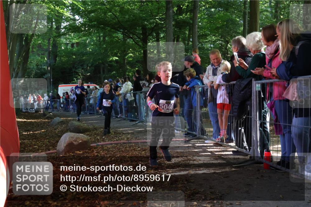 28.09.2025 - 33. Volkslauf durch das schöne Alstertal Strokosch-Dieckow http://msf.ph/oto/8959617 28.09.2025 10:46:26 Ziel 5020, 5026, 5040 meine-sportfotos.de