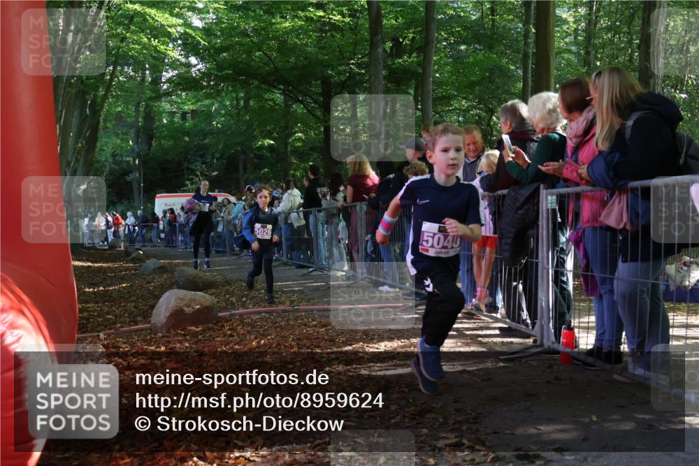 28.09.2025 - 33. Volkslauf durch das schöne Alstertal Strokosch-Dieckow http://msf.ph/oto/8959624 28.09.2025 10:46:26 Ziel 5020, 5026, 5040 meine-sportfotos.de