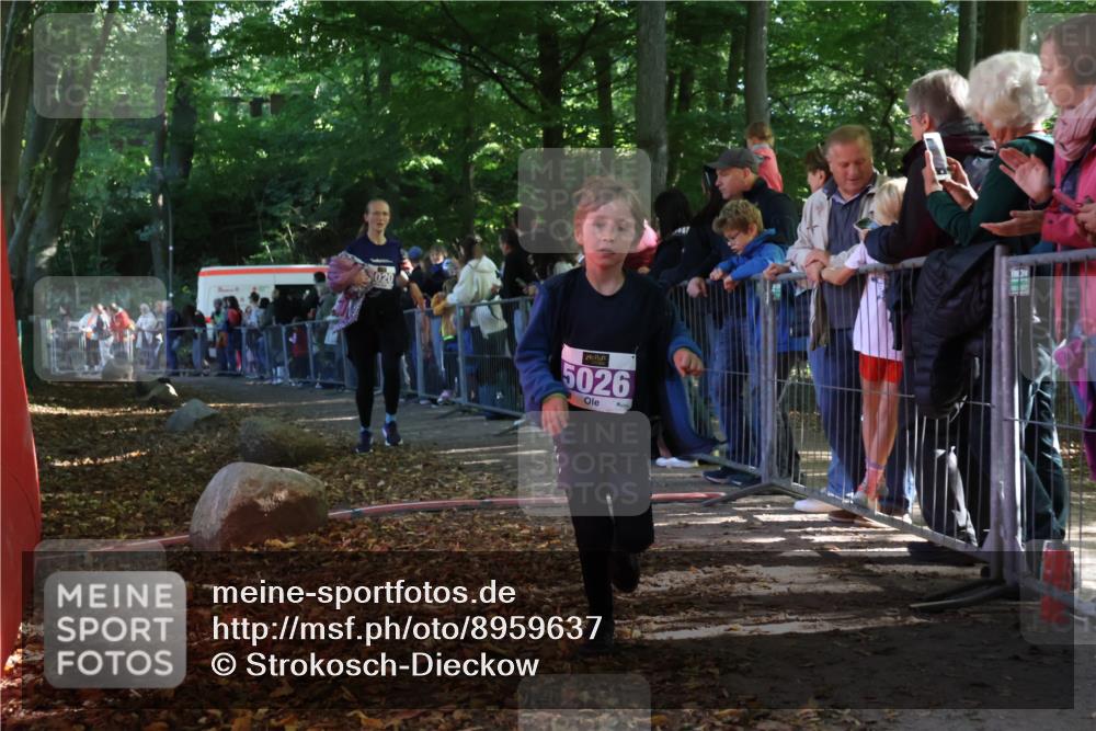 28.09.2025 - 33. Volkslauf durch das schöne Alstertal Strokosch-Dieckow http://msf.ph/oto/8959637 28.09.2025 10:46:28 Ziel 5020, 5026 meine-sportfotos.de