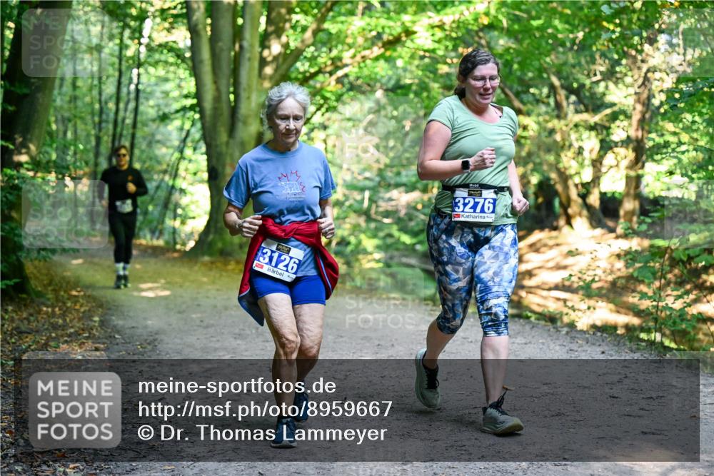 28.09.2025 - 33. Volkslauf durch das schöne Alstertal Dr. Thomas Lammeyer http://msf.ph/oto/8959667 28.09.2025 10:55:18 Laufen 20, 3126, 3276 meine-sportfotos.de