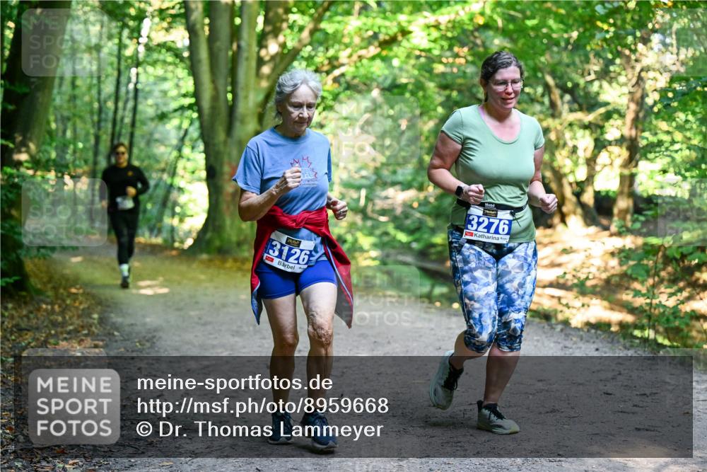 28.09.2025 - 33. Volkslauf durch das schöne Alstertal Dr. Thomas Lammeyer http://msf.ph/oto/8959668 28.09.2025 10:55:19 Laufen 3126, 3276 meine-sportfotos.de