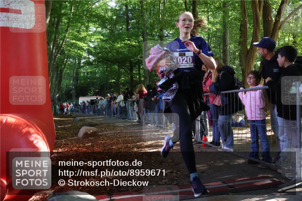 28.09.2025 - 33. Volkslauf durch das schöne Alstertal Strokosch-Dieckow http://msf.ph/oto/8959671 28.09.2025 10:46:31 Ziel 5020 meine-sportfotos.de