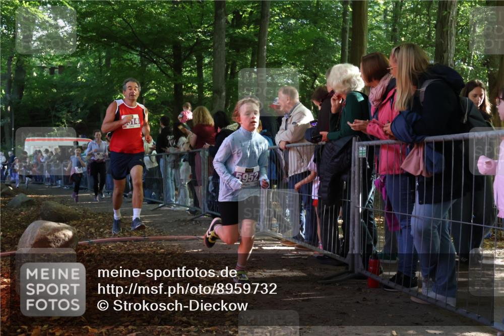 28.09.2025 - 33. Volkslauf durch das schöne Alstertal Strokosch-Dieckow http://msf.ph/oto/8959732 28.09.2025 10:46:48 Ziel 5014, 5952, 5953, 5958, 5959, 5969 meine-sportfotos.de