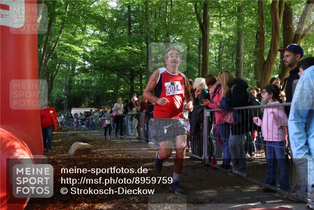 28.09.2025 - 33. Volkslauf durch das schöne Alstertal Strokosch-Dieckow http://msf.ph/oto/8959759 28.09.2025 10:46:50 Ziel 5032, 5953, 5958, 5959, 5969 meine-sportfotos.de