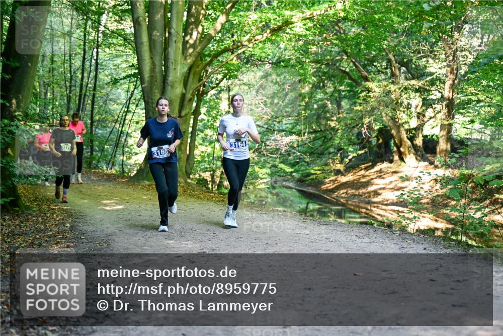 28.09.2025 - 33. Volkslauf durch das schöne Alstertal Dr. Thomas Lammeyer http://msf.ph/oto/8959775 28.09.2025 10:56:21 Laufen 3370, 3165, 3164 meine-sportfotos.de