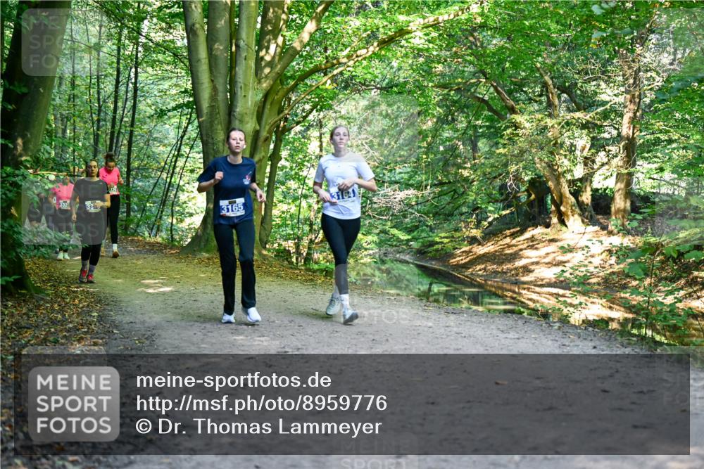 28.09.2025 - 33. Volkslauf durch das schöne Alstertal Dr. Thomas Lammeyer http://msf.ph/oto/8959776 28.09.2025 10:56:21 Laufen 33, 3165 meine-sportfotos.de