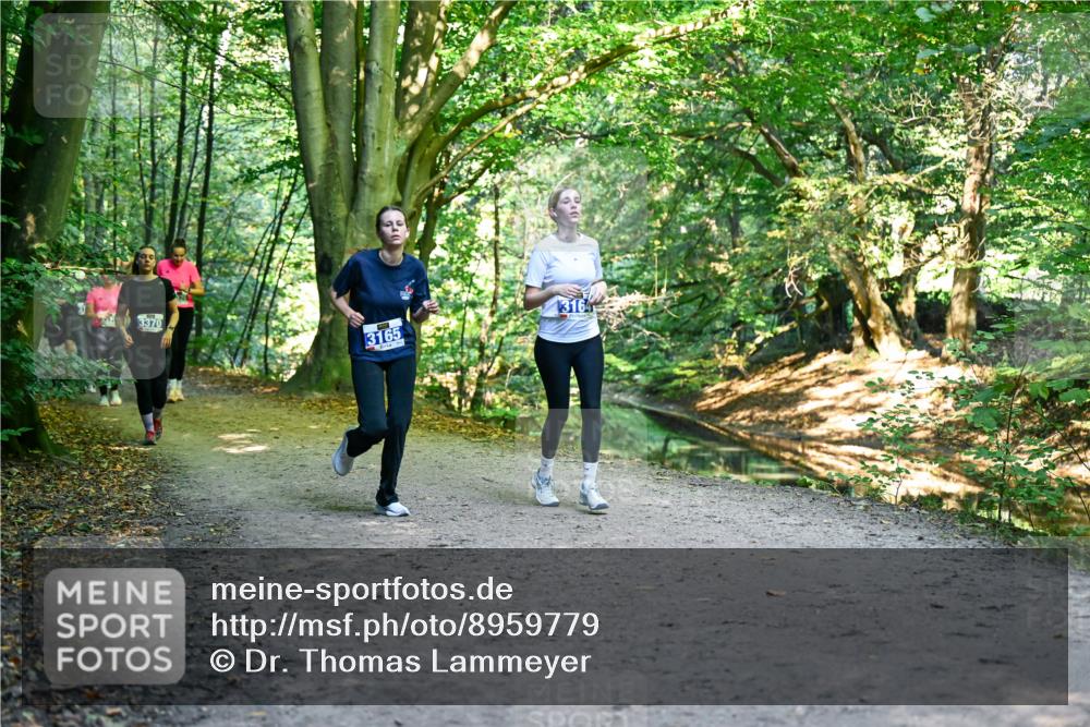28.09.2025 - 33. Volkslauf durch das schöne Alstertal Dr. Thomas Lammeyer http://msf.ph/oto/8959779 28.09.2025 10:56:21 Laufen 3370, 3165, 3164 meine-sportfotos.de