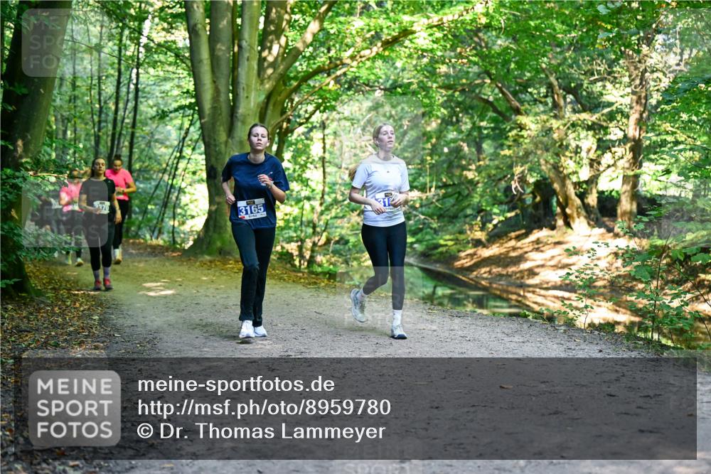 28.09.2025 - 33. Volkslauf durch das schöne Alstertal Dr. Thomas Lammeyer http://msf.ph/oto/8959780 28.09.2025 10:56:21 Laufen 370, 3165 meine-sportfotos.de