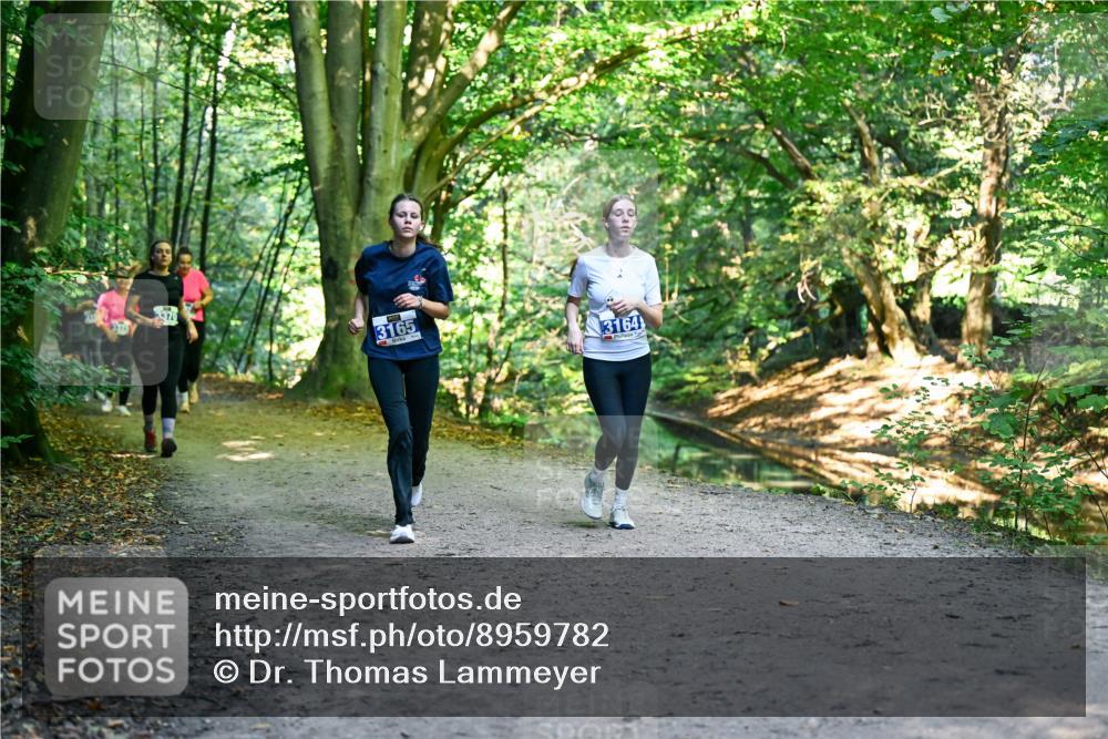 28.09.2025 - 33. Volkslauf durch das schöne Alstertal Dr. Thomas Lammeyer http://msf.ph/oto/8959782 28.09.2025 10:56:21 Laufen 00, 3165, 3164 meine-sportfotos.de