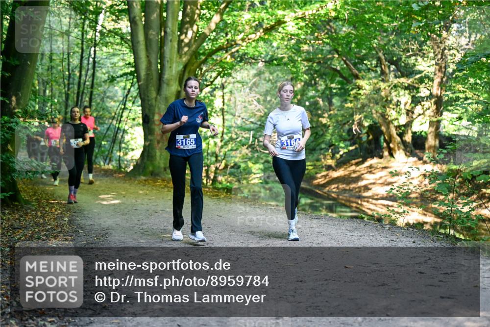 28.09.2025 - 33. Volkslauf durch das schöne Alstertal Dr. Thomas Lammeyer http://msf.ph/oto/8959784 28.09.2025 10:56:22 Laufen 3165, 316 meine-sportfotos.de