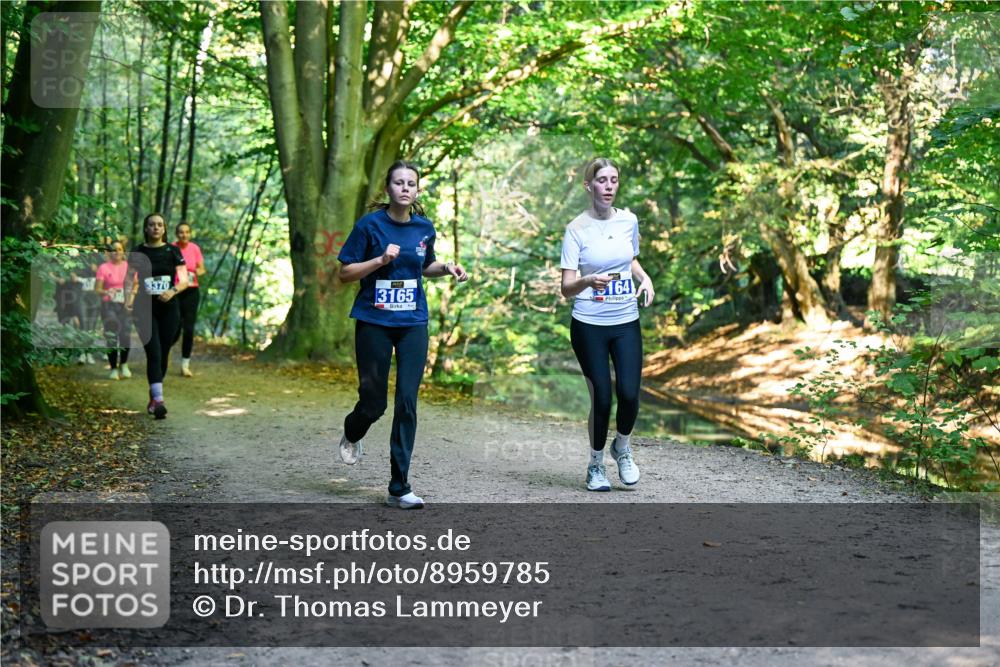 28.09.2025 - 33. Volkslauf durch das schöne Alstertal Dr. Thomas Lammeyer http://msf.ph/oto/8959785 28.09.2025 10:56:22 Laufen 3370, 3165 meine-sportfotos.de