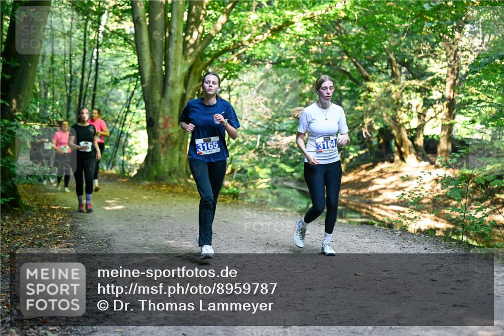 28.09.2025 - 33. Volkslauf durch das schöne Alstertal Dr. Thomas Lammeyer http://msf.ph/oto/8959787 28.09.2025 10:56:22 Laufen 3165, 3164 meine-sportfotos.de