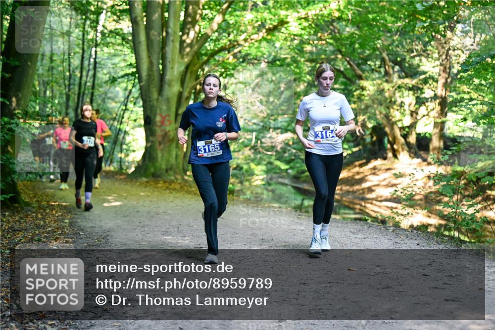 28.09.2025 - 33. Volkslauf durch das schöne Alstertal Dr. Thomas Lammeyer http://msf.ph/oto/8959789 28.09.2025 10:56:22 Laufen 3165, 3164 meine-sportfotos.de