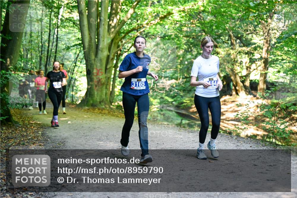 28.09.2025 - 33. Volkslauf durch das schöne Alstertal Dr. Thomas Lammeyer http://msf.ph/oto/8959790 28.09.2025 10:56:22 Laufen 3165, 64 meine-sportfotos.de
