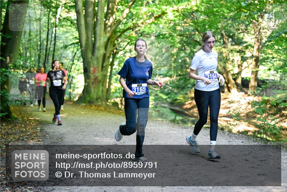 28.09.2025 - 33. Volkslauf durch das schöne Alstertal Dr. Thomas Lammeyer http://msf.ph/oto/8959791 28.09.2025 10:56:23 Laufen 3165, 3164 meine-sportfotos.de