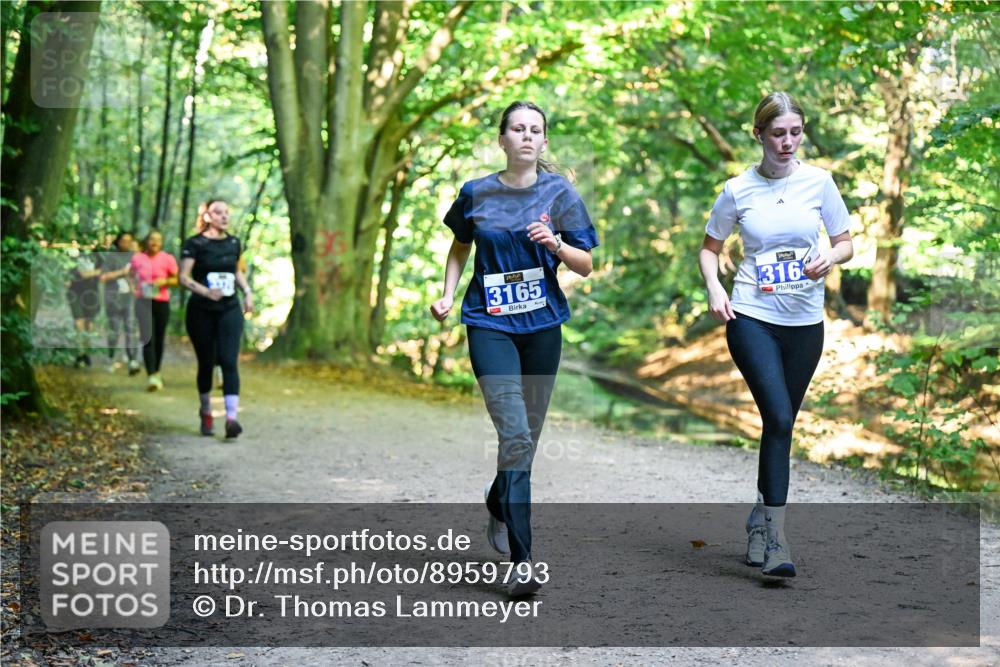 28.09.2025 - 33. Volkslauf durch das schöne Alstertal Dr. Thomas Lammeyer http://msf.ph/oto/8959793 28.09.2025 10:56:23 Laufen 3165, 316 meine-sportfotos.de