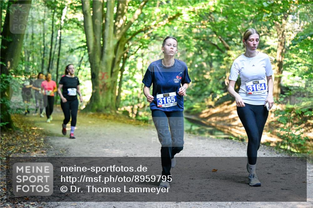 28.09.2025 - 33. Volkslauf durch das schöne Alstertal Dr. Thomas Lammeyer http://msf.ph/oto/8959795 28.09.2025 10:56:23 Laufen 3165, 3164 meine-sportfotos.de