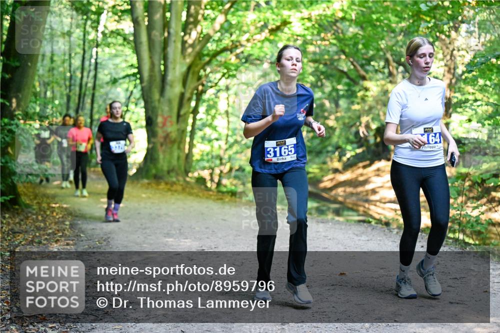 28.09.2025 - 33. Volkslauf durch das schöne Alstertal Dr. Thomas Lammeyer http://msf.ph/oto/8959796 28.09.2025 10:56:23 Laufen 3165, 164 meine-sportfotos.de