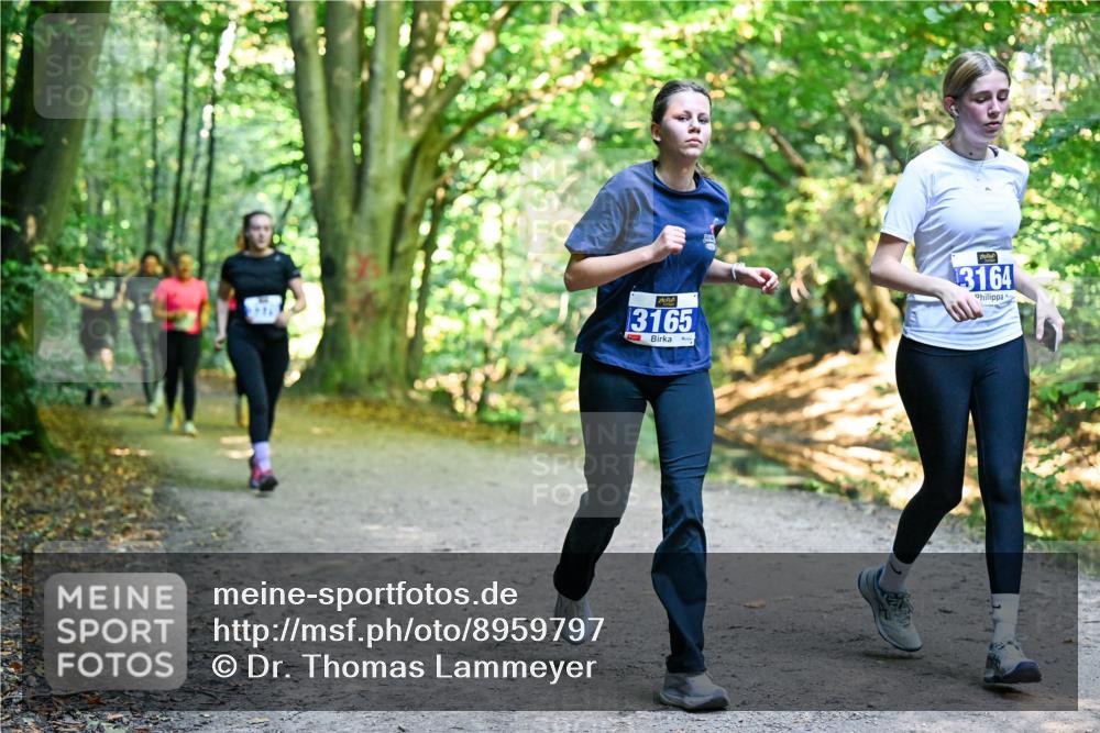 28.09.2025 - 33. Volkslauf durch das schöne Alstertal Dr. Thomas Lammeyer http://msf.ph/oto/8959797 28.09.2025 10:56:23 Laufen 3165, 3164 meine-sportfotos.de
