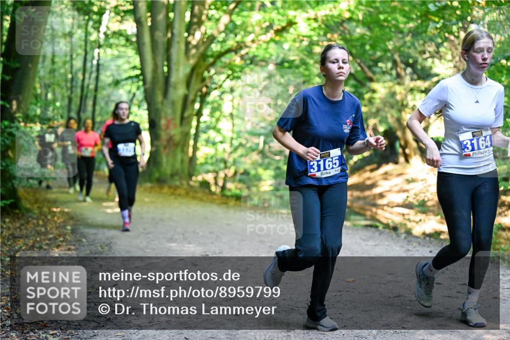 28.09.2025 - 33. Volkslauf durch das schöne Alstertal Dr. Thomas Lammeyer http://msf.ph/oto/8959799 28.09.2025 10:56:23 Laufen 3165, 3164 meine-sportfotos.de