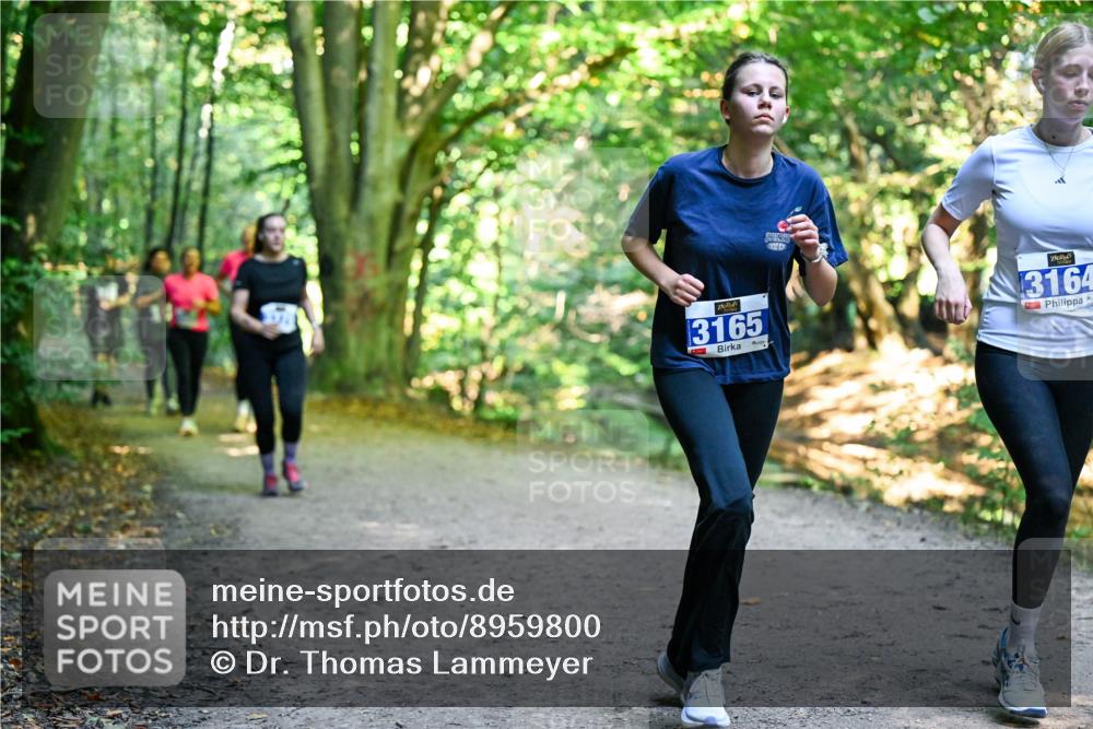 28.09.2025 - 33. Volkslauf durch das schöne Alstertal Dr. Thomas Lammeyer http://msf.ph/oto/8959800 28.09.2025 10:56:24 Laufen 3165, 3164 meine-sportfotos.de