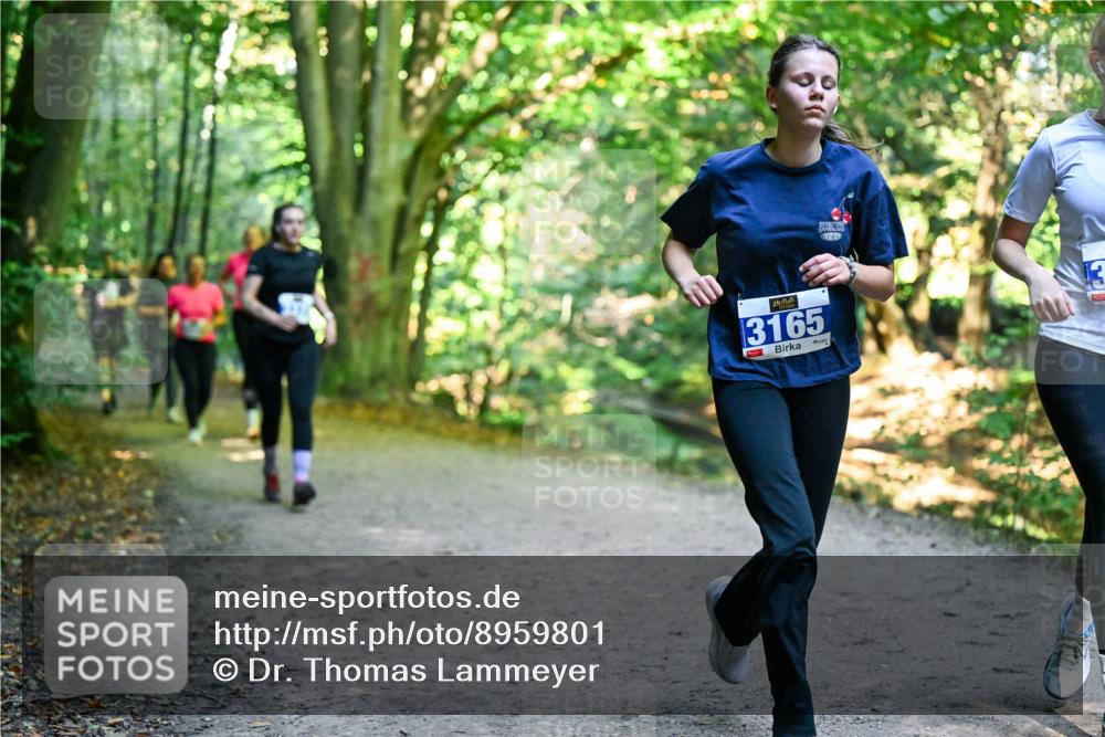 28.09.2025 - 33. Volkslauf durch das schöne Alstertal Dr. Thomas Lammeyer http://msf.ph/oto/8959801 28.09.2025 10:56:24 Laufen 3165, 13 meine-sportfotos.de