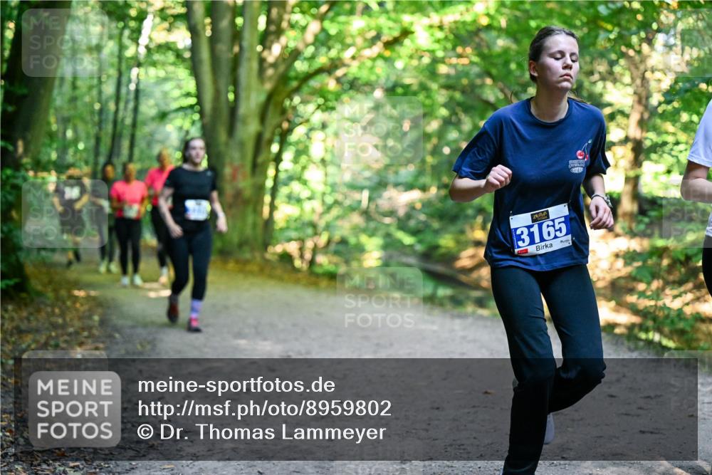 28.09.2025 - 33. Volkslauf durch das schöne Alstertal Dr. Thomas Lammeyer http://msf.ph/oto/8959802 28.09.2025 10:56:24 Laufen 3165 meine-sportfotos.de
