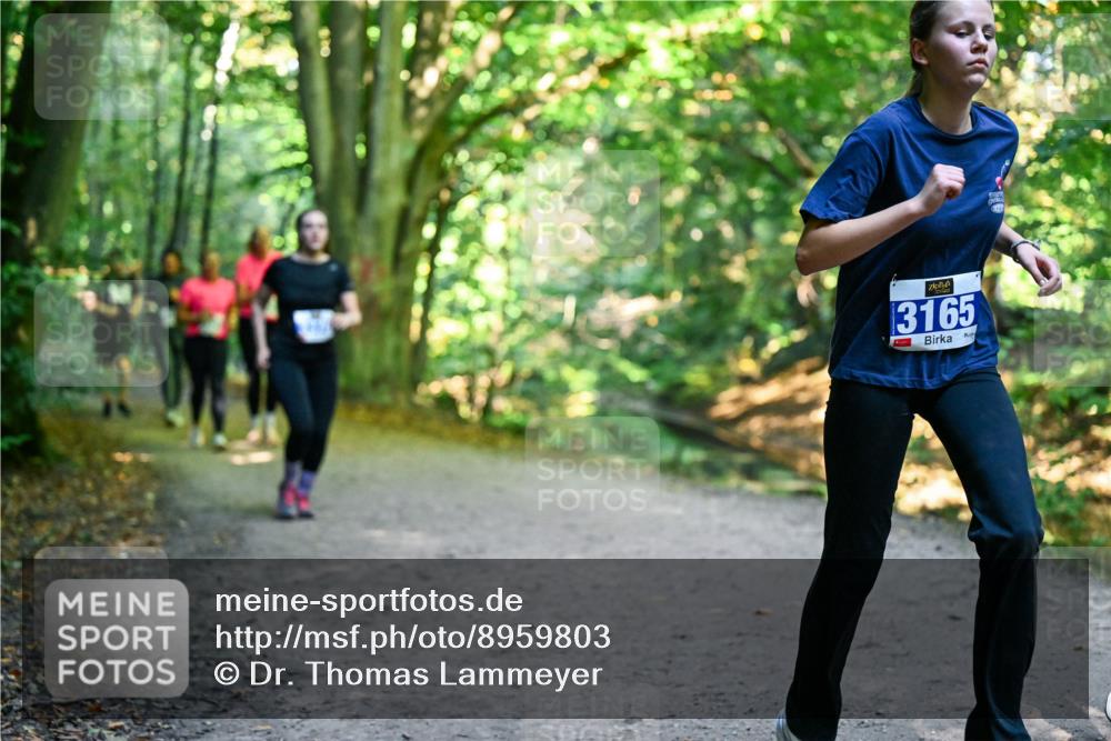 28.09.2025 - 33. Volkslauf durch das schöne Alstertal Dr. Thomas Lammeyer http://msf.ph/oto/8959803 28.09.2025 10:56:24 Laufen 3165 meine-sportfotos.de