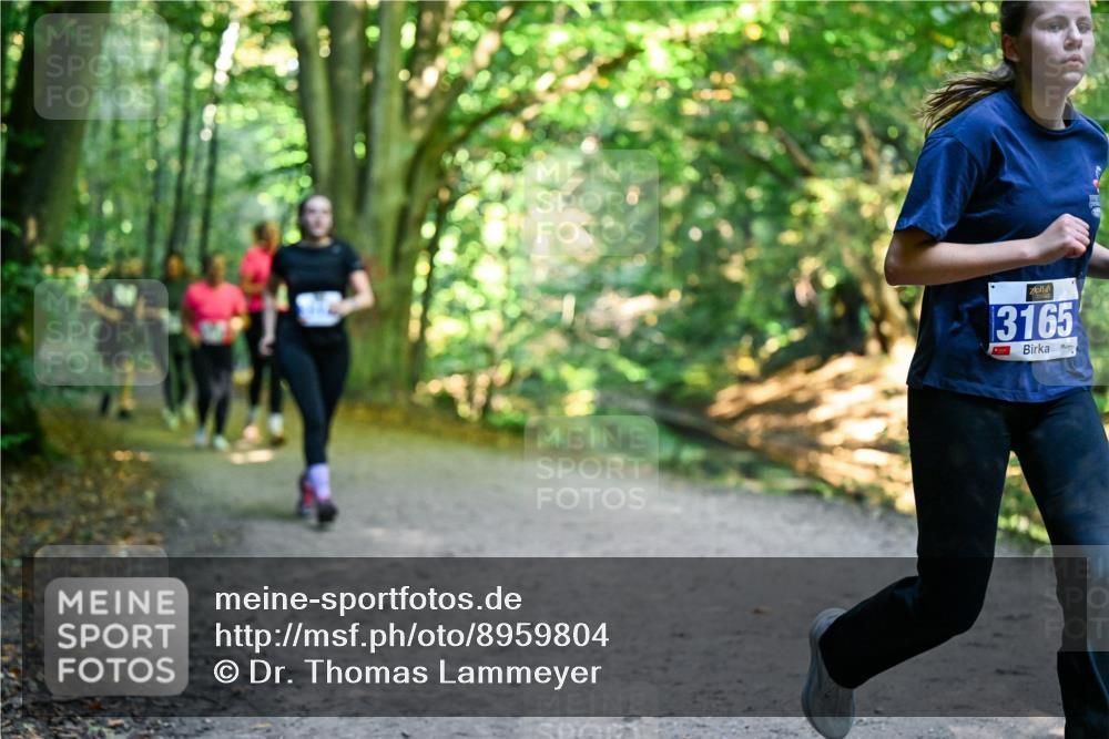 28.09.2025 - 33. Volkslauf durch das schöne Alstertal Dr. Thomas Lammeyer http://msf.ph/oto/8959804 28.09.2025 10:56:24 Laufen 3165 meine-sportfotos.de