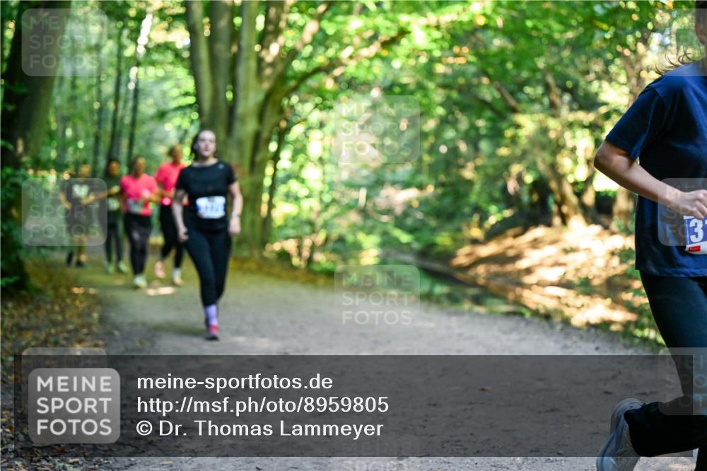 28.09.2025 - 33. Volkslauf durch das schöne Alstertal Dr. Thomas Lammeyer http://msf.ph/oto/8959805 28.09.2025 10:56:24 Laufen 3 meine-sportfotos.de