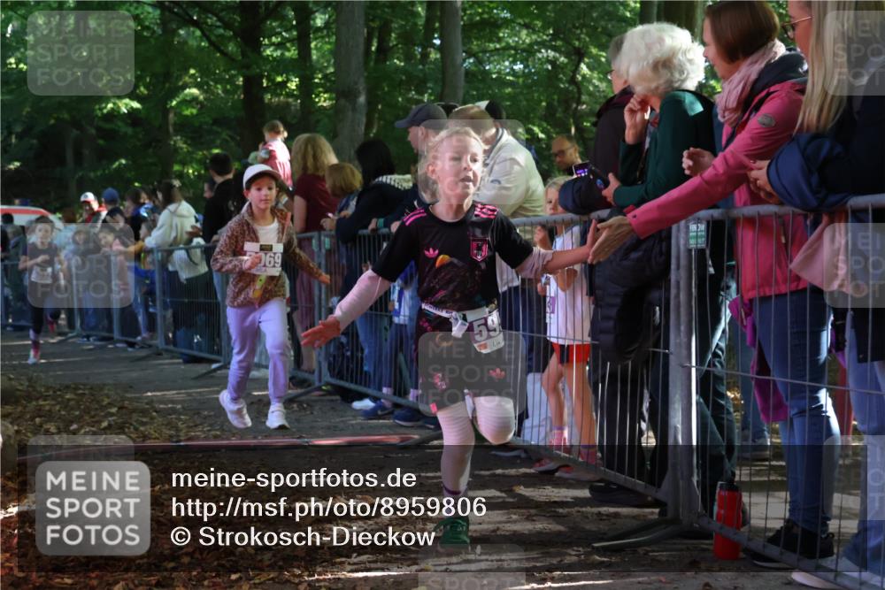 28.09.2025 - 33. Volkslauf durch das schöne Alstertal Strokosch-Dieckow http://msf.ph/oto/8959806 28.09.2025 10:46:55 Ziel 5032, 5953, 5969 meine-sportfotos.de