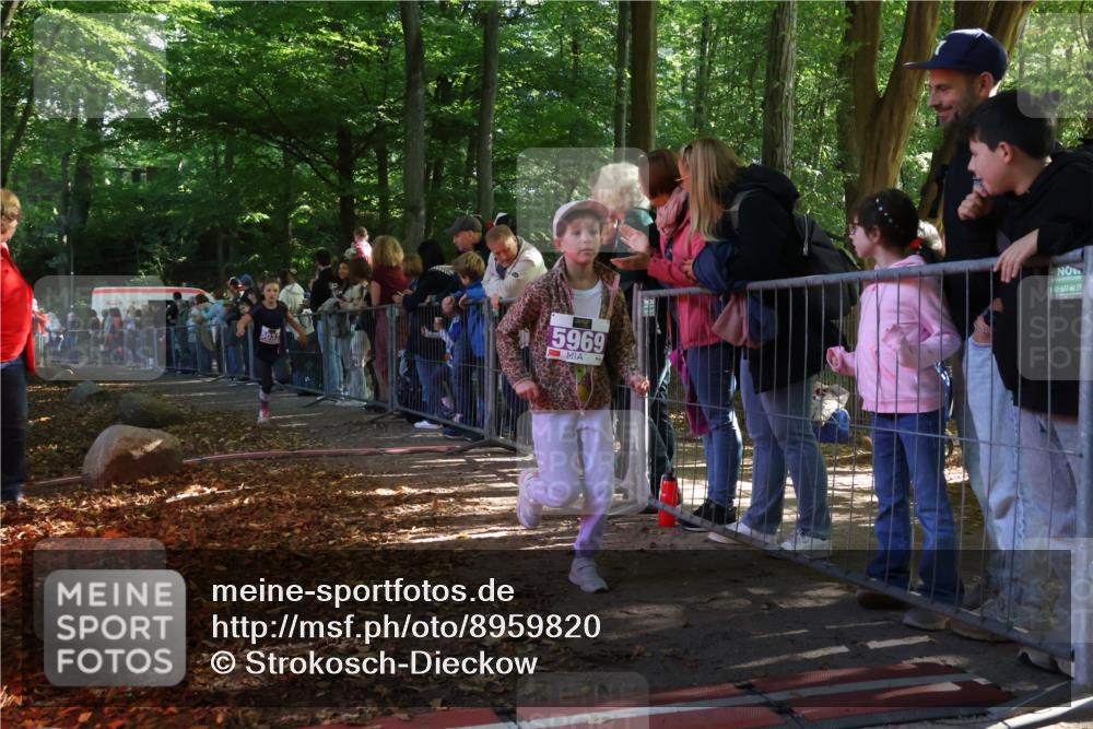 28.09.2025 - 33. Volkslauf durch das schöne Alstertal Strokosch-Dieckow http://msf.ph/oto/8959820 28.09.2025 10:46:56 Ziel 5032, 5953, 5969 meine-sportfotos.de