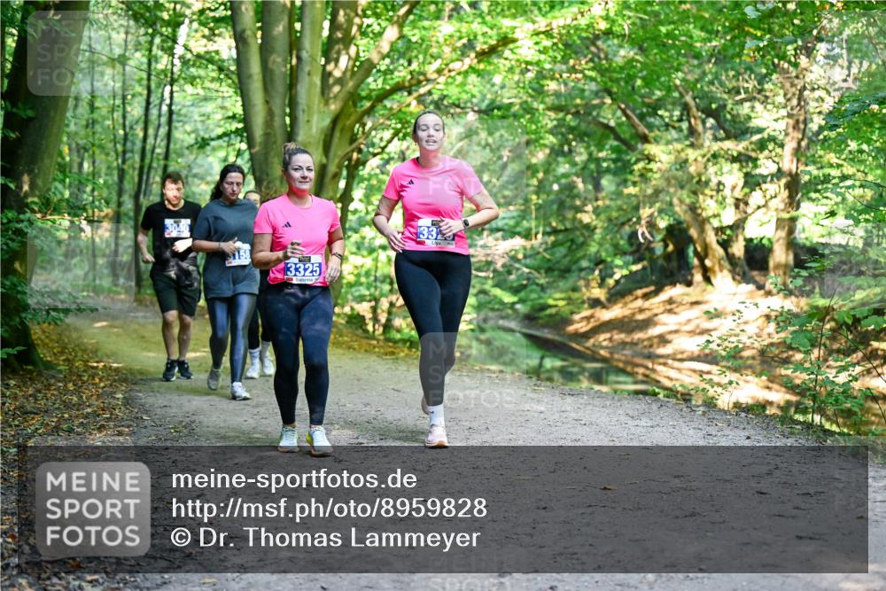 28.09.2025 - 33. Volkslauf durch das schöne Alstertal Dr. Thomas Lammeyer http://msf.ph/oto/8959828 28.09.2025 10:56:28 Laufen 158, 3325, 33 meine-sportfotos.de
