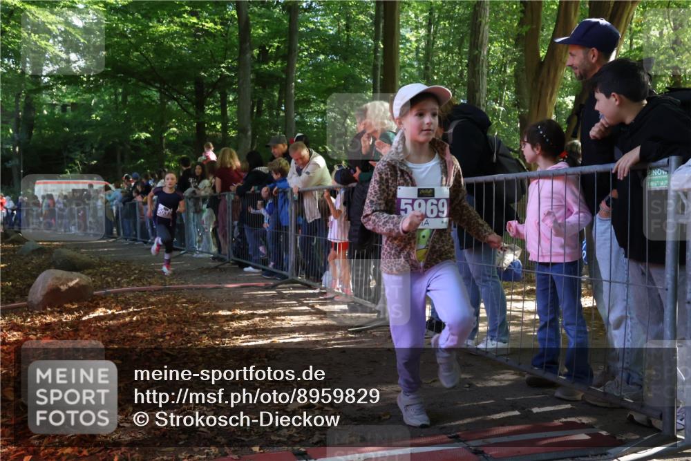 28.09.2025 - 33. Volkslauf durch das schöne Alstertal Strokosch-Dieckow http://msf.ph/oto/8959829 28.09.2025 10:46:57 Ziel 5032 meine-sportfotos.de