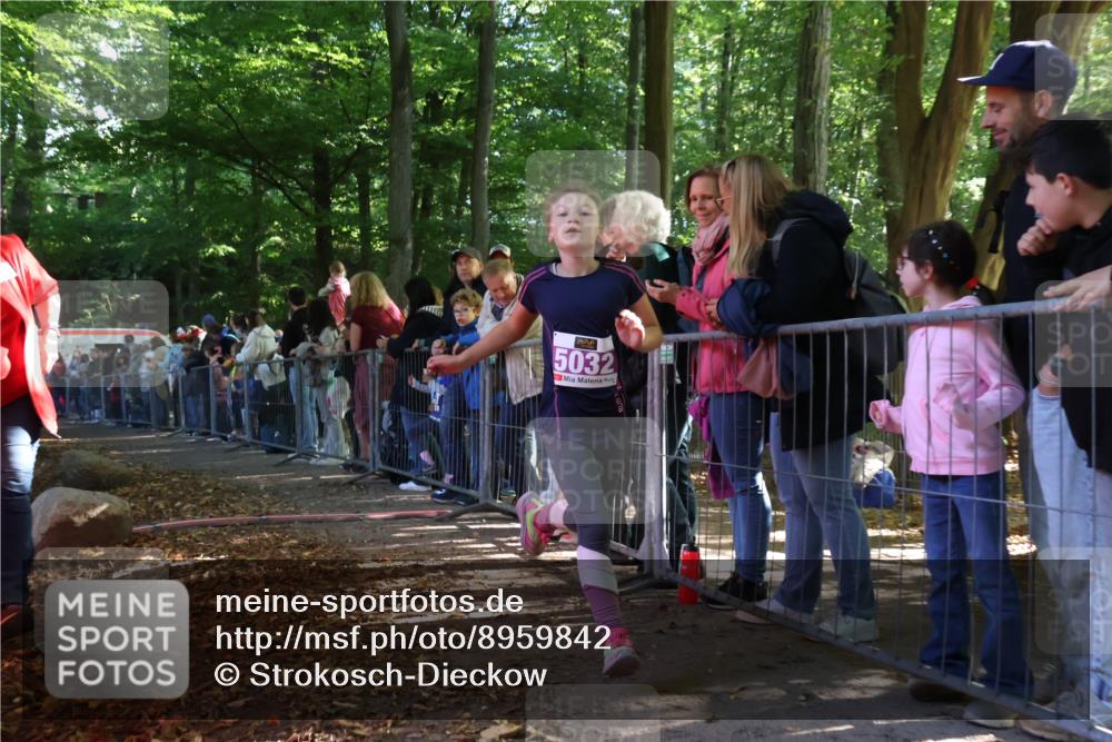 28.09.2025 - 33. Volkslauf durch das schöne Alstertal Strokosch-Dieckow http://msf.ph/oto/8959842 28.09.2025 10:46:58 Ziel 5032 meine-sportfotos.de