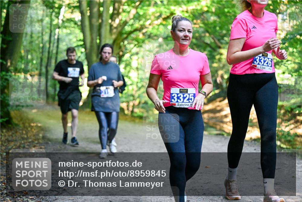 28.09.2025 - 33. Volkslauf durch das schöne Alstertal Dr. Thomas Lammeyer http://msf.ph/oto/8959845 28.09.2025 10:56:30 Laufen 315, 3325, 3326 meine-sportfotos.de