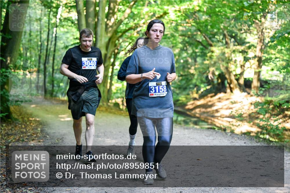 28.09.2025 - 33. Volkslauf durch das schöne Alstertal Dr. Thomas Lammeyer http://msf.ph/oto/8959851 28.09.2025 10:56:31 Laufen 3040, 3158 meine-sportfotos.de