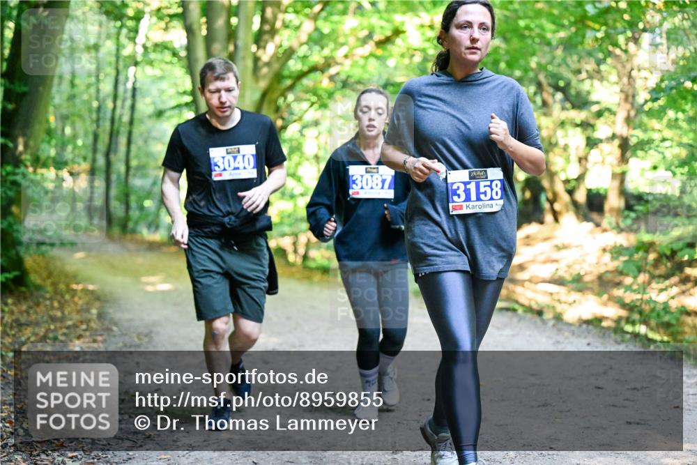 28.09.2025 - 33. Volkslauf durch das schöne Alstertal Dr. Thomas Lammeyer http://msf.ph/oto/8959855 28.09.2025 10:56:32 Laufen 3040, 3087, 3158 meine-sportfotos.de