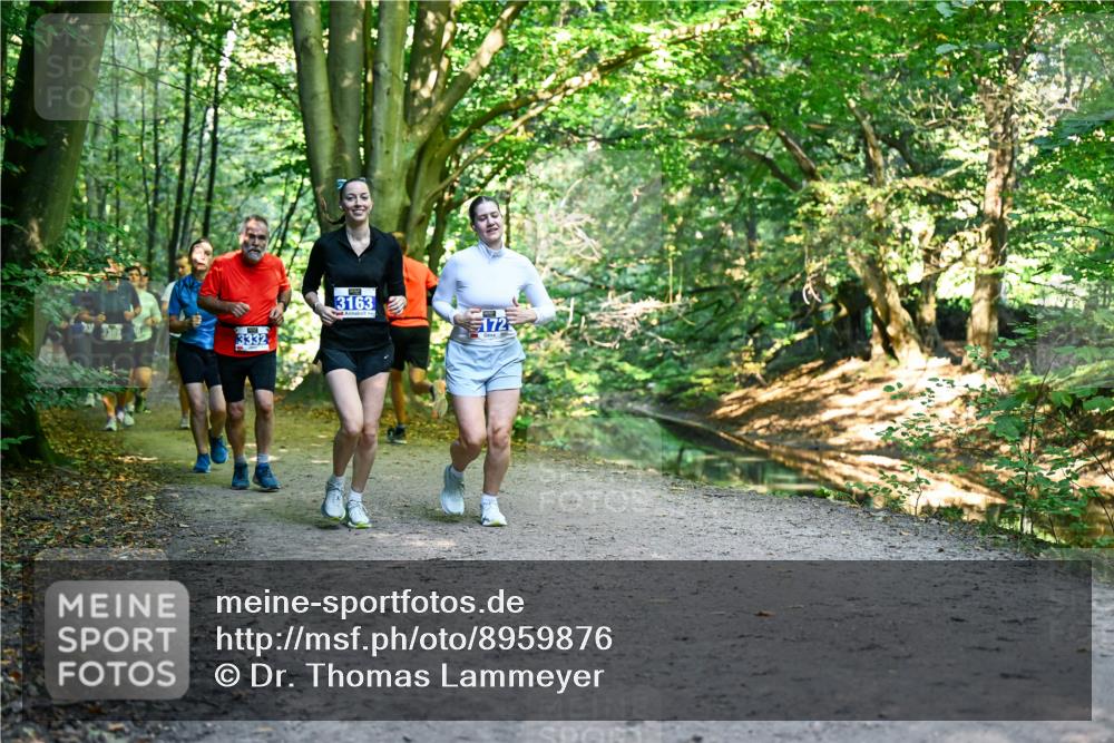 28.09.2025 - 33. Volkslauf durch das schöne Alstertal Dr. Thomas Lammeyer http://msf.ph/oto/8959876 28.09.2025 10:56:52 Laufen 3332, 3163, 172 meine-sportfotos.de