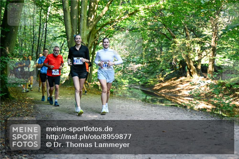 28.09.2025 - 33. Volkslauf durch das schöne Alstertal Dr. Thomas Lammeyer http://msf.ph/oto/8959877 28.09.2025 10:56:52 Laufen 3389, 3332, 316 meine-sportfotos.de