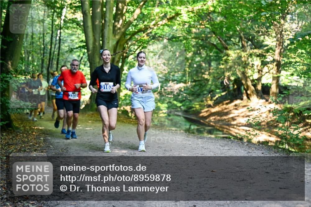 28.09.2025 - 33. Volkslauf durch das schöne Alstertal Dr. Thomas Lammeyer http://msf.ph/oto/8959878 28.09.2025 10:56:52 Laufen 3163, 317 meine-sportfotos.de