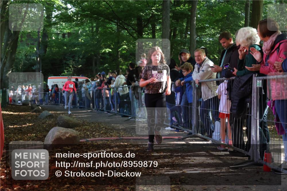 28.09.2025 - 33. Volkslauf durch das schöne Alstertal Strokosch-Dieckow http://msf.ph/oto/8959879 28.09.2025 10:47:12 Ziel 5951, 5964, 5965 meine-sportfotos.de