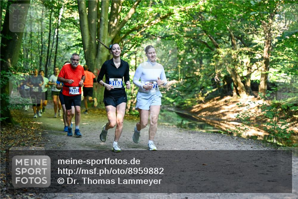 28.09.2025 - 33. Volkslauf durch das schöne Alstertal Dr. Thomas Lammeyer http://msf.ph/oto/8959882 28.09.2025 10:56:53 Laufen 3163, 2, 3332 meine-sportfotos.de