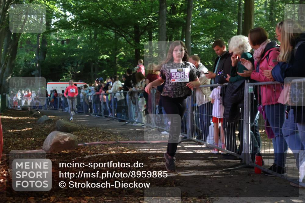 28.09.2025 - 33. Volkslauf durch das schöne Alstertal Strokosch-Dieckow http://msf.ph/oto/8959885 28.09.2025 10:47:12 Ziel 5951, 5964, 5965 meine-sportfotos.de