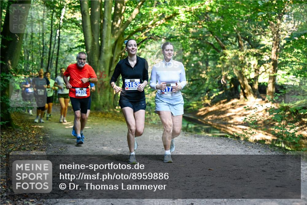 28.09.2025 - 33. Volkslauf durch das schöne Alstertal Dr. Thomas Lammeyer http://msf.ph/oto/8959886 28.09.2025 10:56:53 Laufen 3163, 3332, 517 meine-sportfotos.de